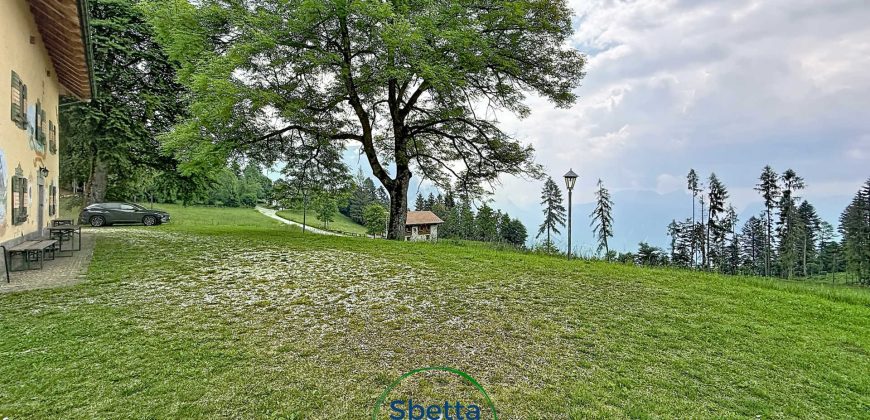 CHALET MUSIERA