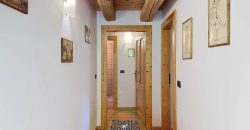 CHALET MUSIERA