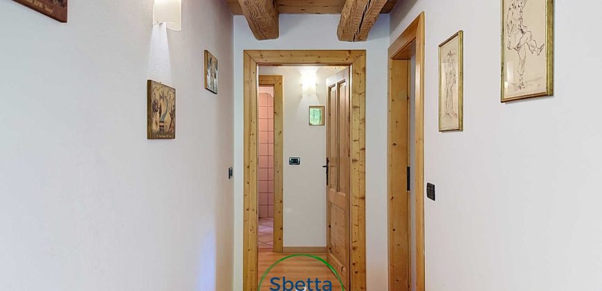 CHALET MUSIERA