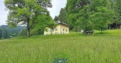 CHALET MUSIERA