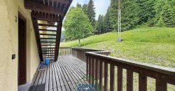 CHALET MUSIERA