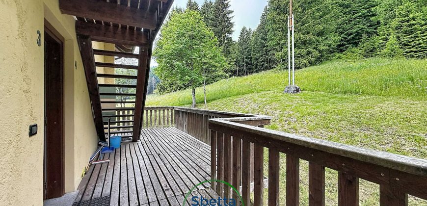 CHALET MUSIERA