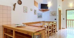 CHALET MUSIERA